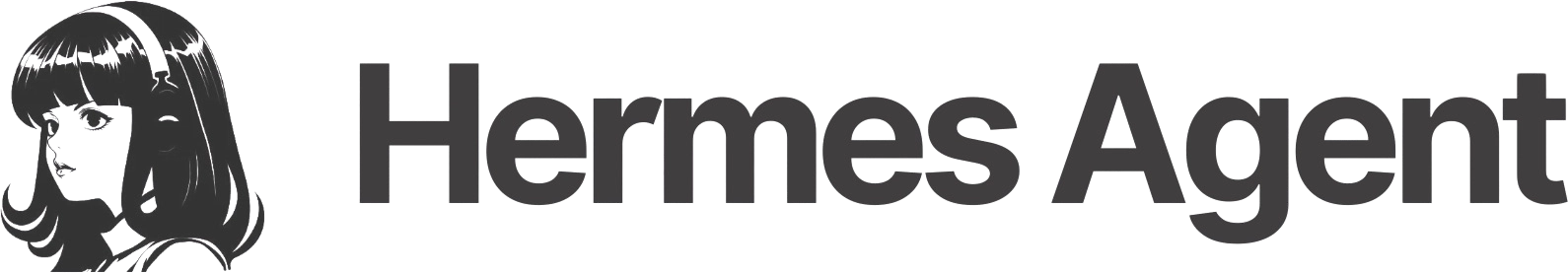 Hermes Agent interface
